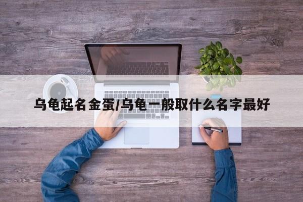 乌龟起名金蛋/乌龟一般取什么名字最好