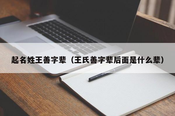 起名姓王善字辈（王氏善字辈后面是什么辈）